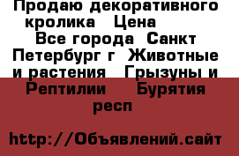 Продаю декоративного кролика › Цена ­ 500 - Все города, Санкт-Петербург г. Животные и растения » Грызуны и Рептилии   . Бурятия респ.